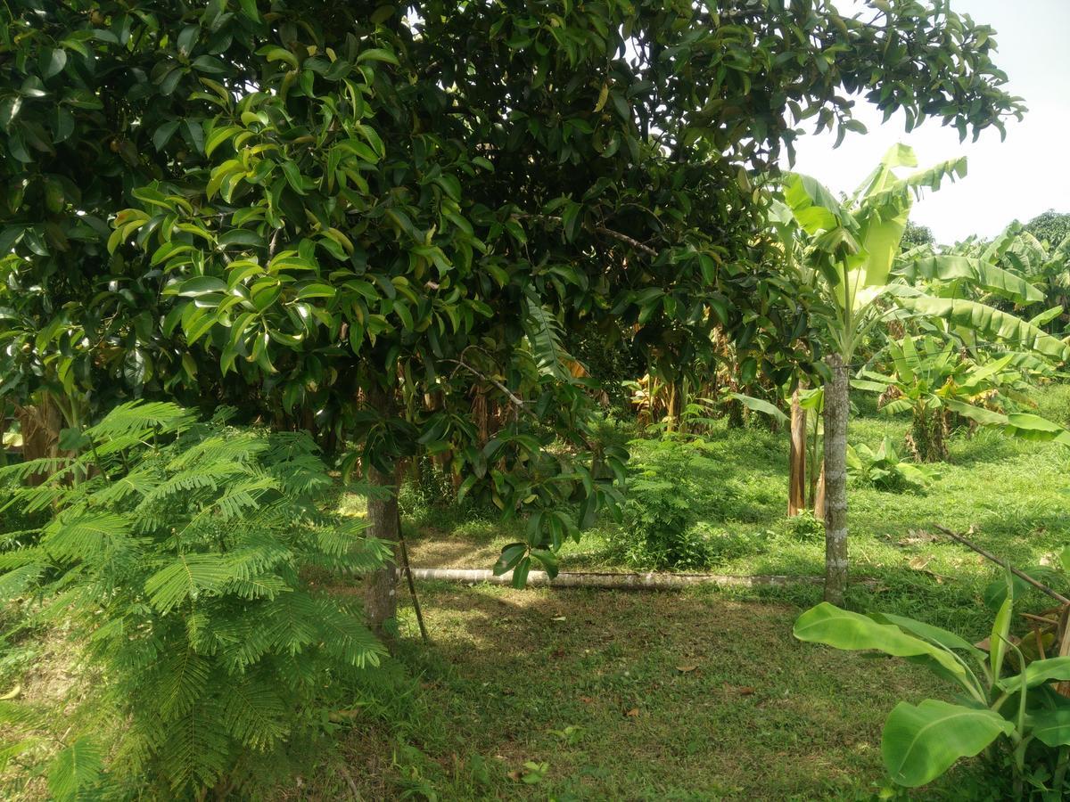 Deva Garden Resort Pracsinburi Kültér fotó