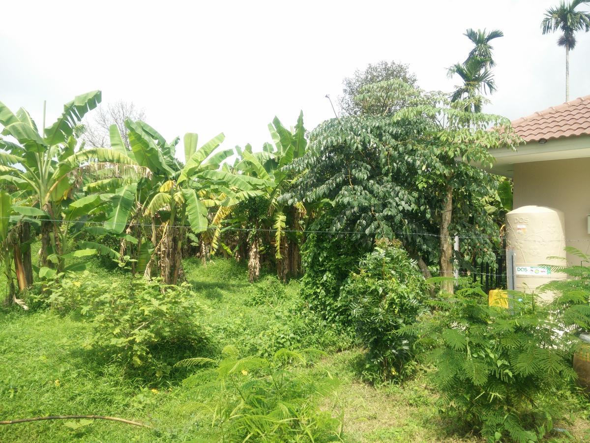 Deva Garden Resort Pracsinburi Kültér fotó