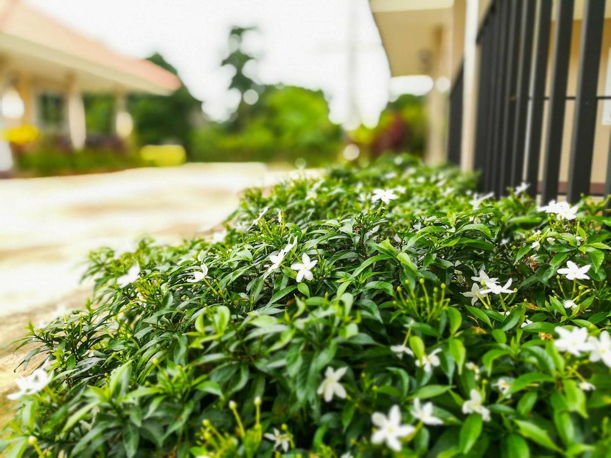 Deva Garden Resort Pracsinburi Kültér fotó