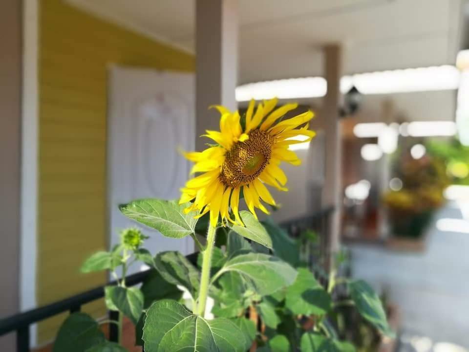 Deva Garden Resort Pracsinburi Kültér fotó